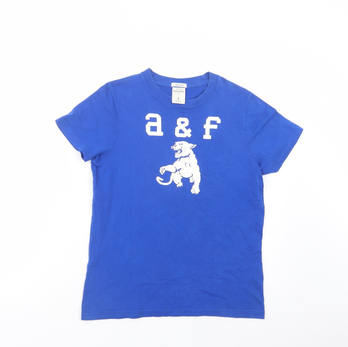 Abercrombie & Fitch Boys Blue  Cotton Basic T-Shirt Size 12-13 Years Crew Neck Pullover - Wild Cat