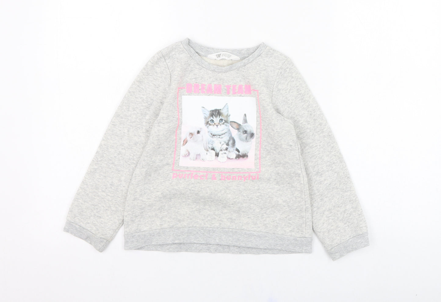 H&M Girls Grey  Cotton Pullover Sweatshirt Size 5-6 Years  Pullover - Cat, Rabbit