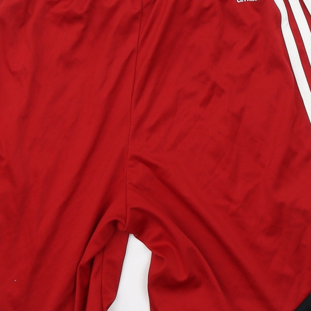 adidas Boys Red  Polyester Sweat Shorts Size 14 Years  Regular