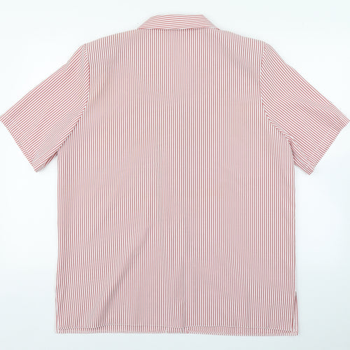 Boldgreen Womens Pink Striped Cotton Basic Button-Up Size L Collared