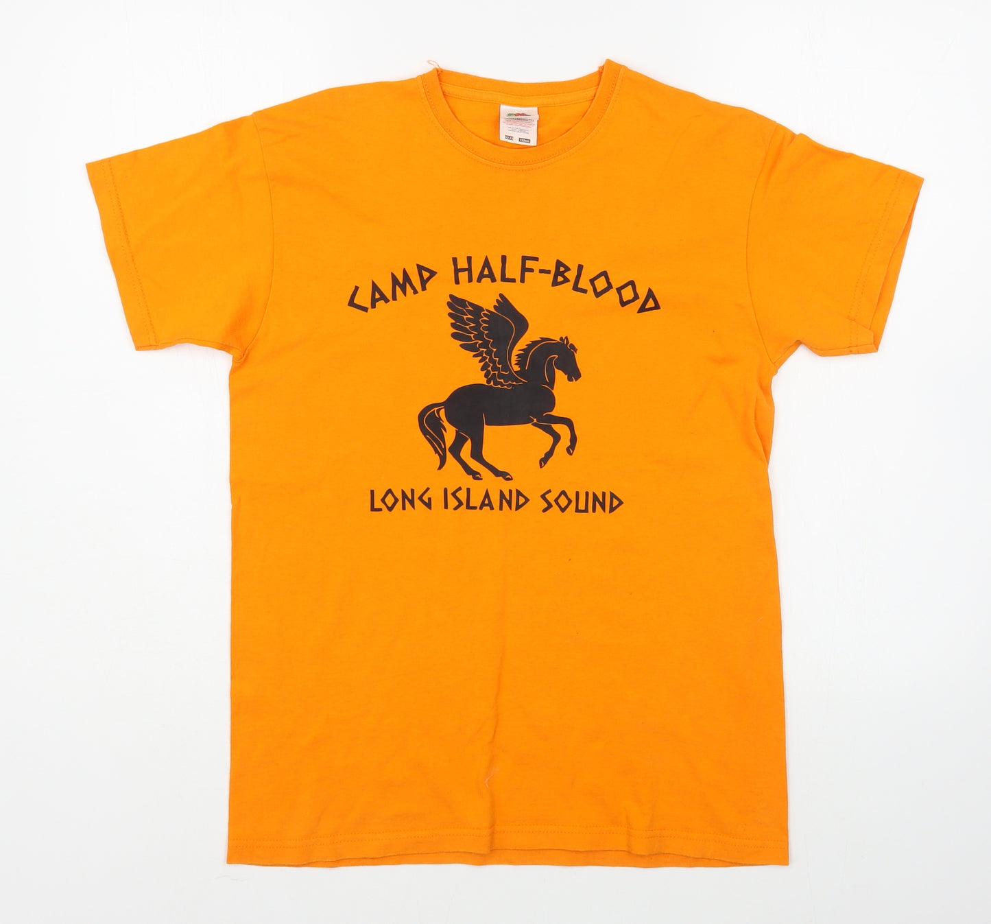 Fruit of the Loom Boys Orange  100% Cotton Basic T-Shirt Size 12-13 Years Round Neck Pullover - Percy Jackson