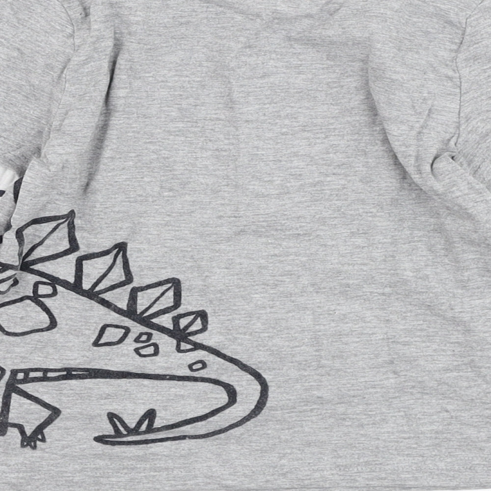 F&F Boys Grey  Cotton Basic T-Shirt Size 2-3 Years Round Neck Pullover - Dinosaur