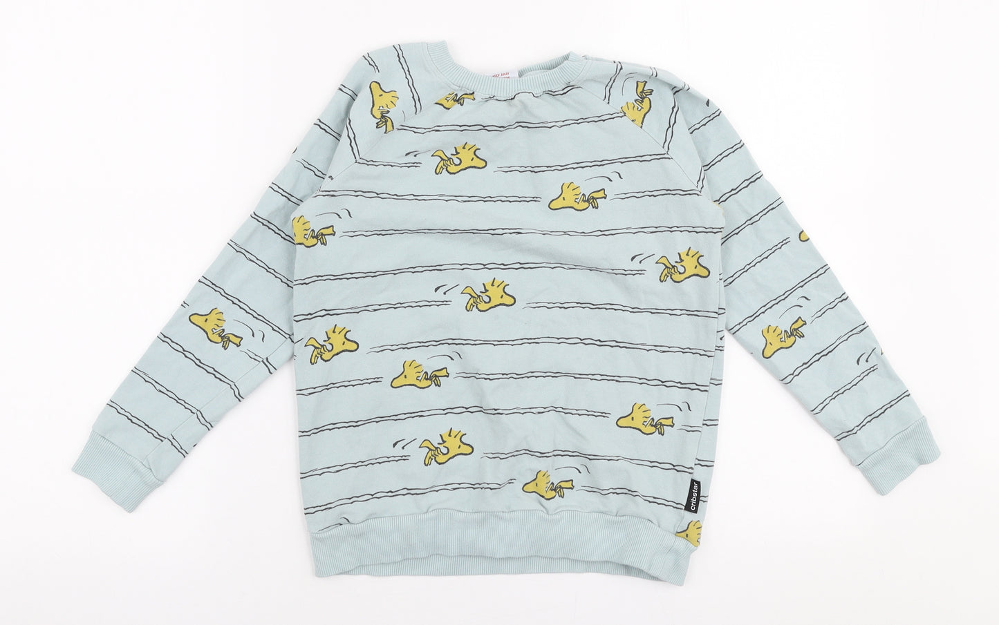 Cribstar Boys Blue  Polyester Pullover Sweatshirt Size 9-10 Years  Pullover - Peanuts