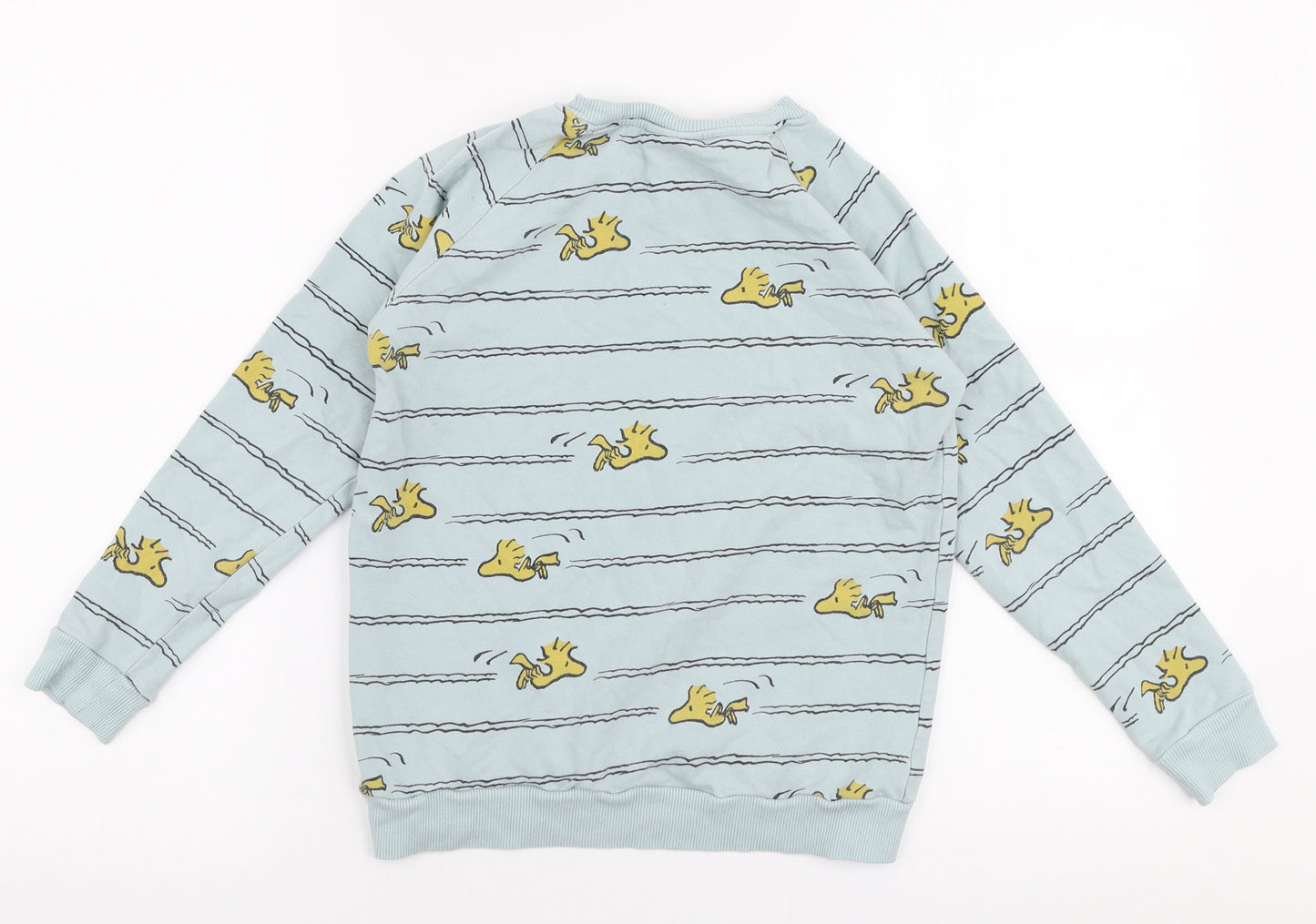 Cribstar Boys Blue  Polyester Pullover Sweatshirt Size 9-10 Years  Pullover - Peanuts