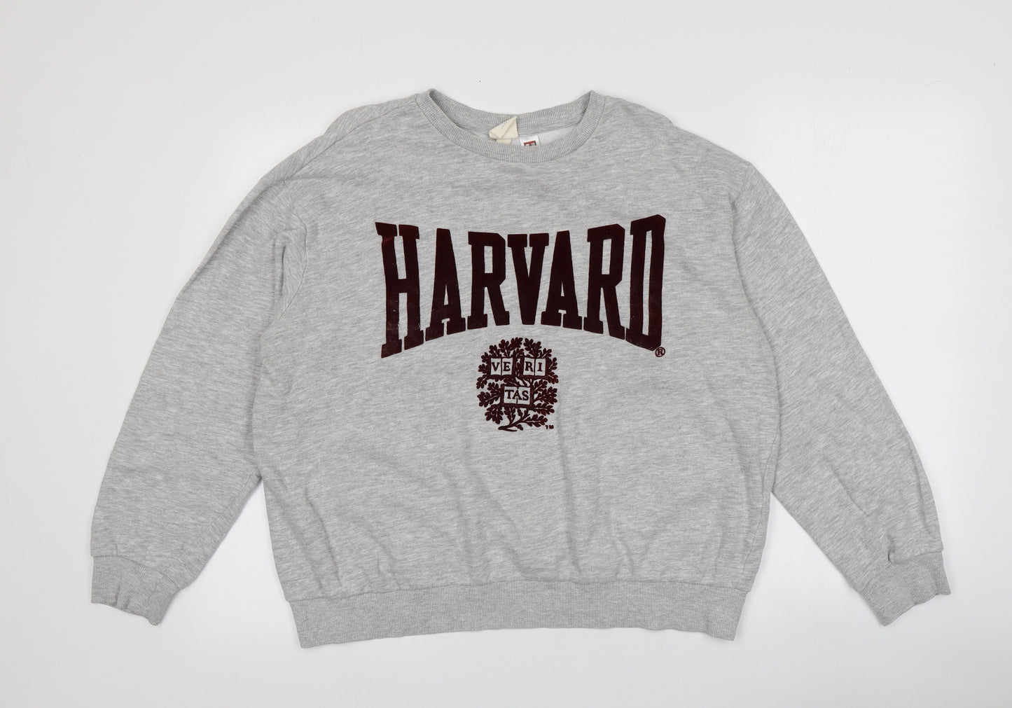 H&M Womens Grey  Cotton Pullover Hoodie Size 10
