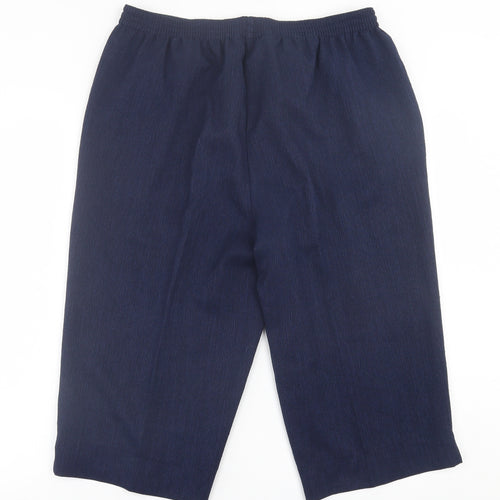BM Collection Womens Blue  Polyester Bermuda Shorts Size 16 L17 in Regular Pull On