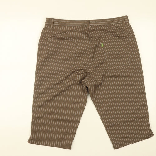 BACKTEE Mens Brown Striped Polyamide Athletic Shorts Size L L16 in Regular Zip