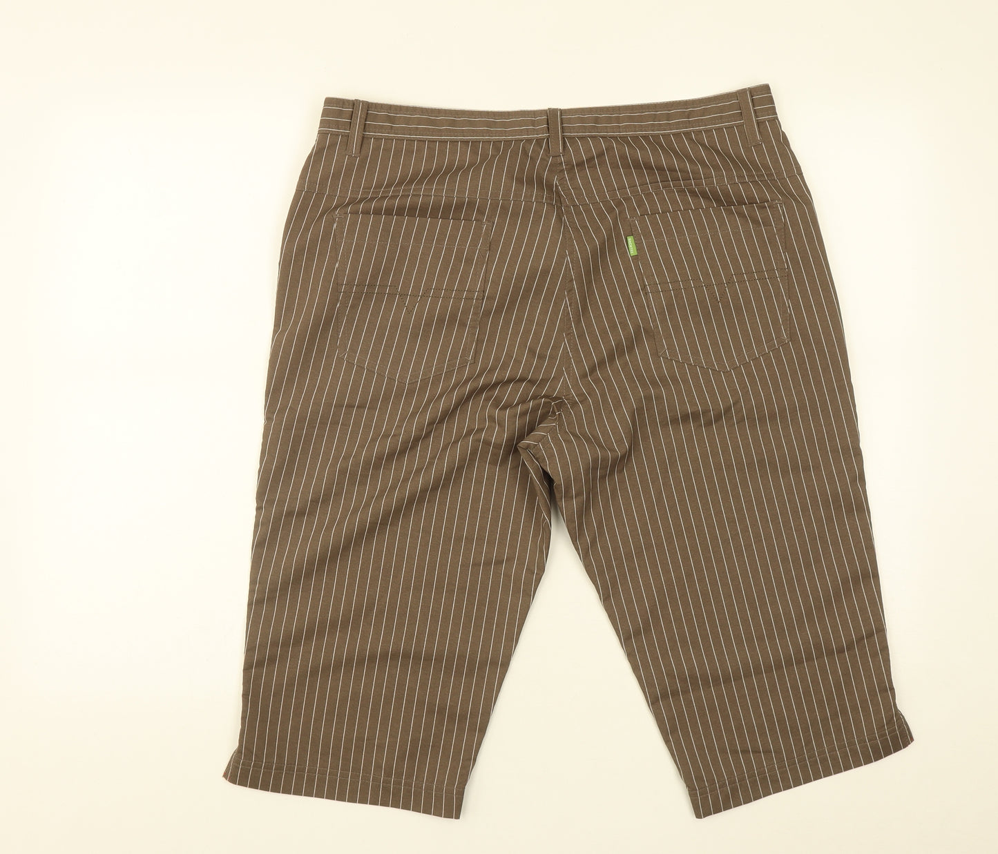 BACKTEE Mens Brown Striped Polyamide Athletic Shorts Size L L16 in Regular Zip