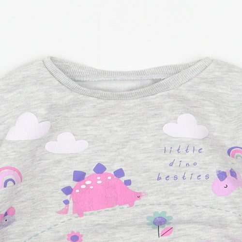 Dunnes Stores Girls Grey  Cotton Pullover Jumper Size 9-12 Months   - Dinosaur