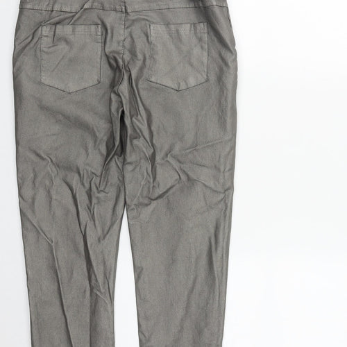 Preworn Womens Silver  Viscose Sweatpants Trousers Size 28 in L26 in Regular Drawstring