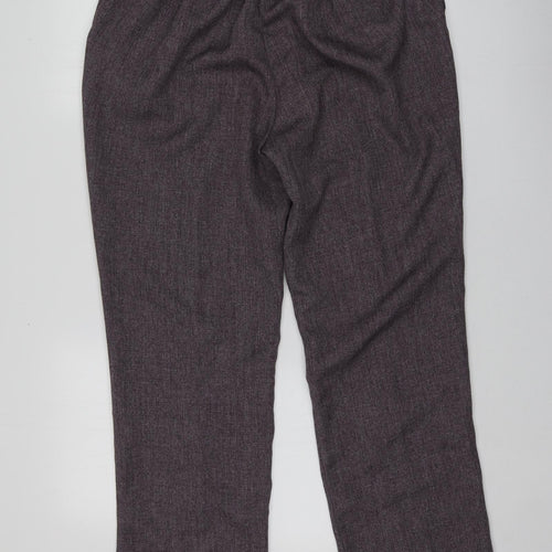 Damrat Womens Purple  Polyester Chino Trousers Size 18 L28 in Regular