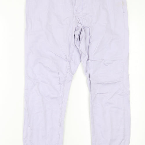 Dorothy Perkins Womens Purple  Cotton Straight Jeans Size 14 L27 in Regular Button