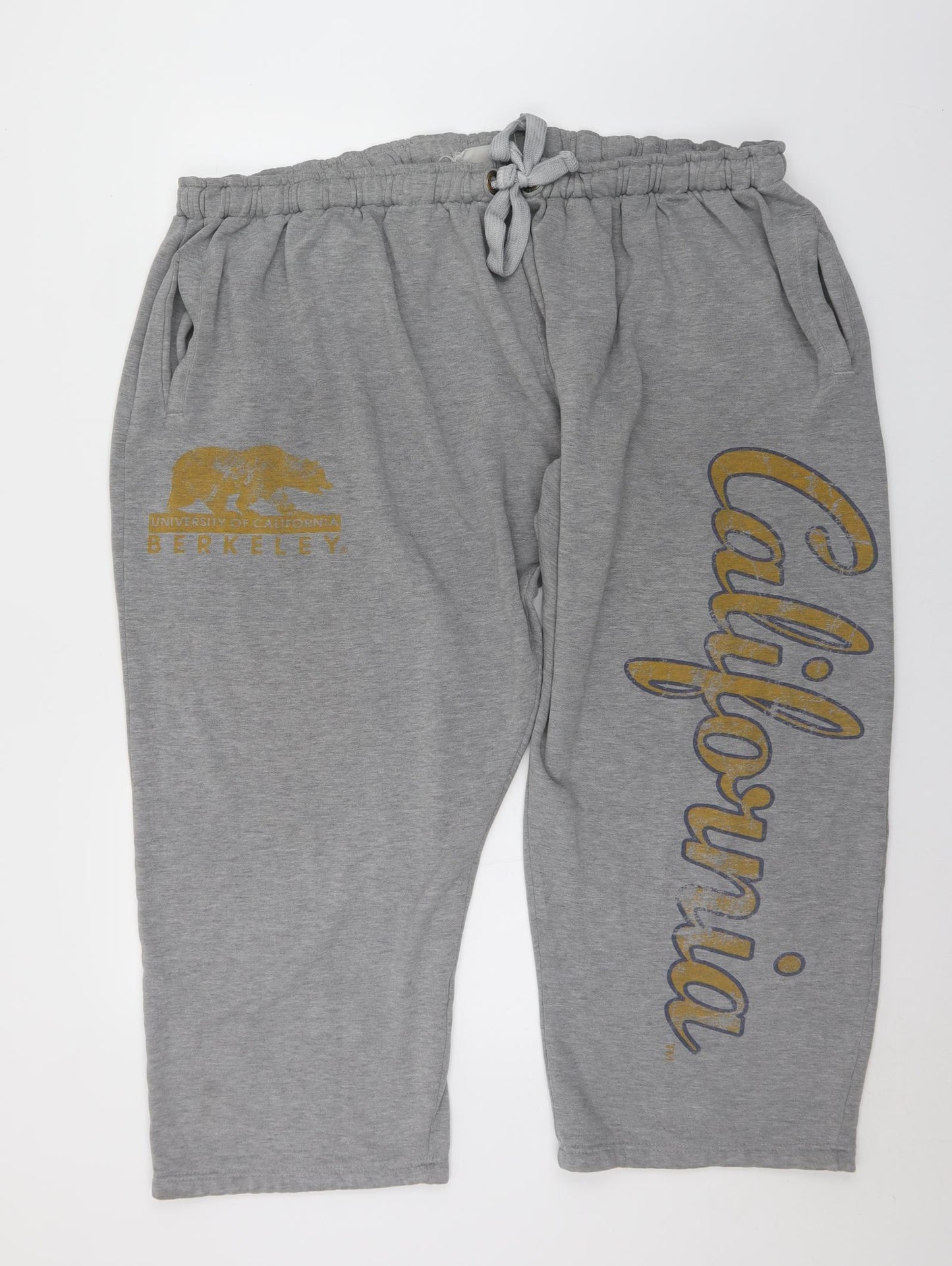 AMERICAN FRESHMAN Mens Grey  Polyester Jogger Trousers Size 2XL L27 in Regular Drawstring - California