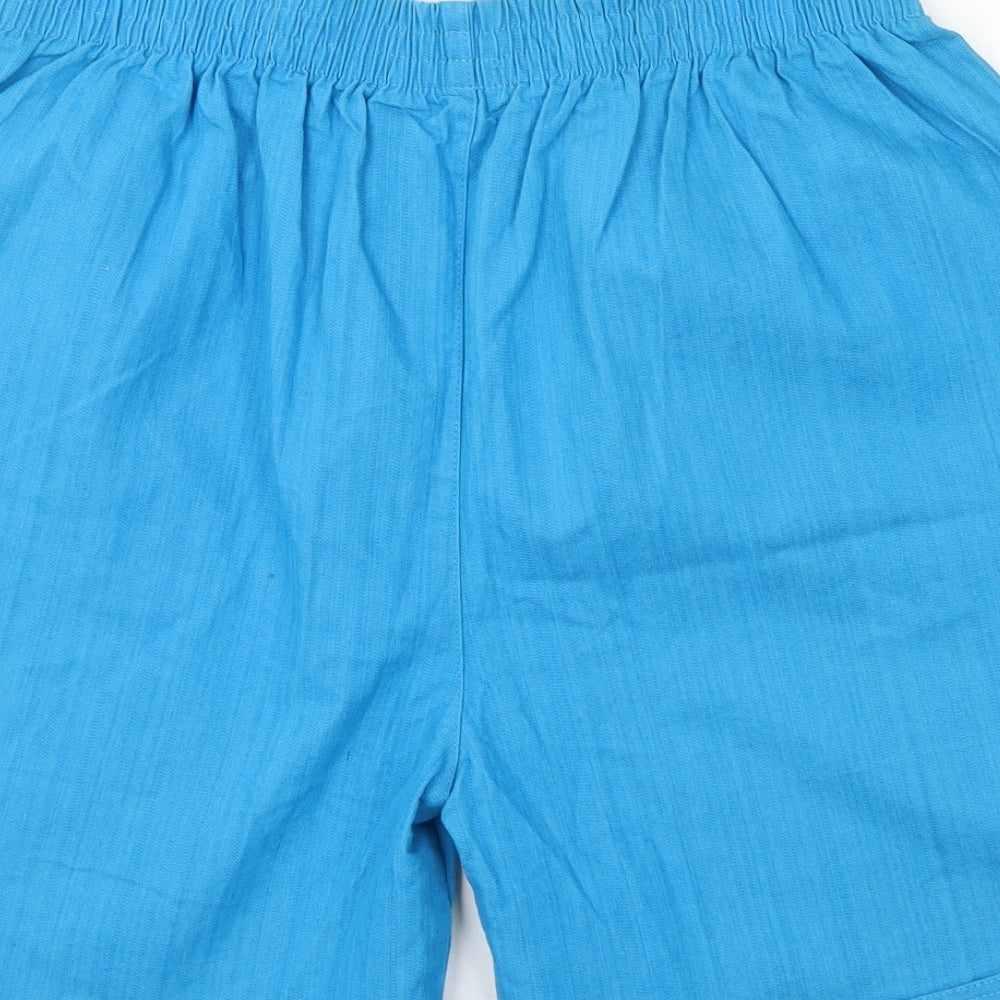 Preworn Womens Blue  Cotton Sweat Shorts Size XL L7 in Regular