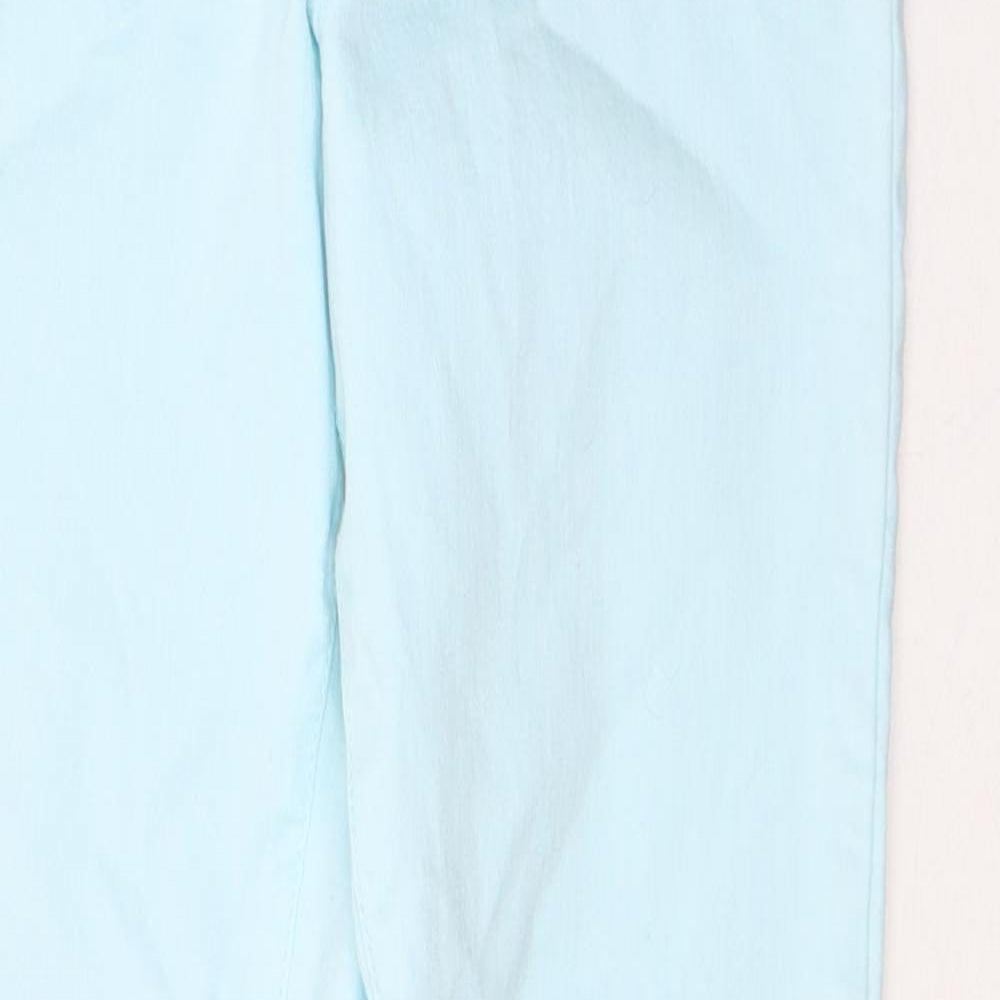 Preworn Womens Blue  Cotton Skinny Jeans Size 28 in L29 in Regular Button
