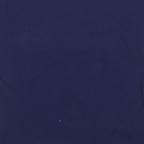 Fruit of the Loom Boys Blue  Cotton Basic T-Shirt Size 9-10 Years Round Neck  - I paused my game to be here