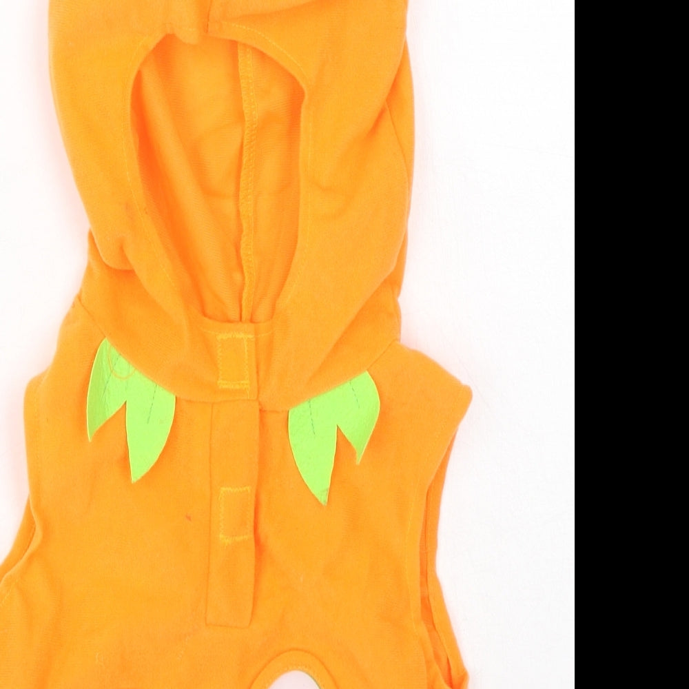 Preworn Boys Orange  Polyester Basic Casual Size 2-3 Years Round Neck  - fancy dress