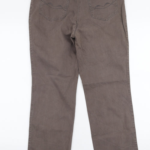 GARDEUR Womens Brown  Polyester Trousers  Size 31 in L28 in Regular Zip