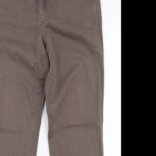 GARDEUR Womens Brown  Polyester Trousers  Size 31 in L28 in Regular Zip