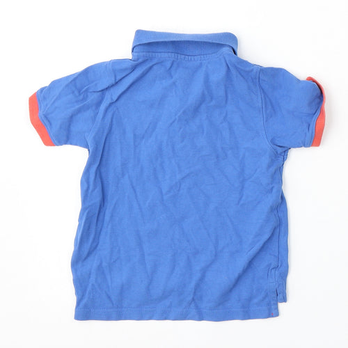 Jack Green Boys Blue  Cotton Basic Polo Size 5-6 Years Collared