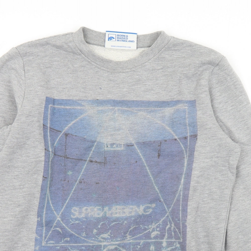 Supremebeing Mens Grey  Cotton Pullover Sweatshirt Size S   - Logo