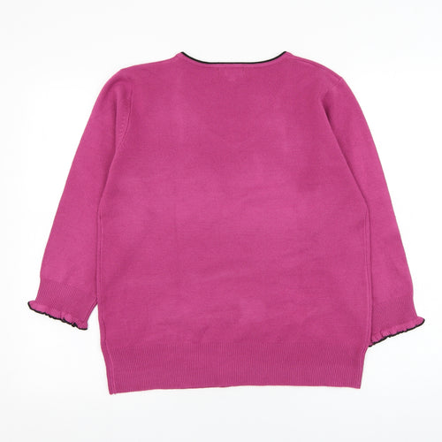 Ann Marie Womens Purple V-Neck  Acrylic Pullover Jumper Size L