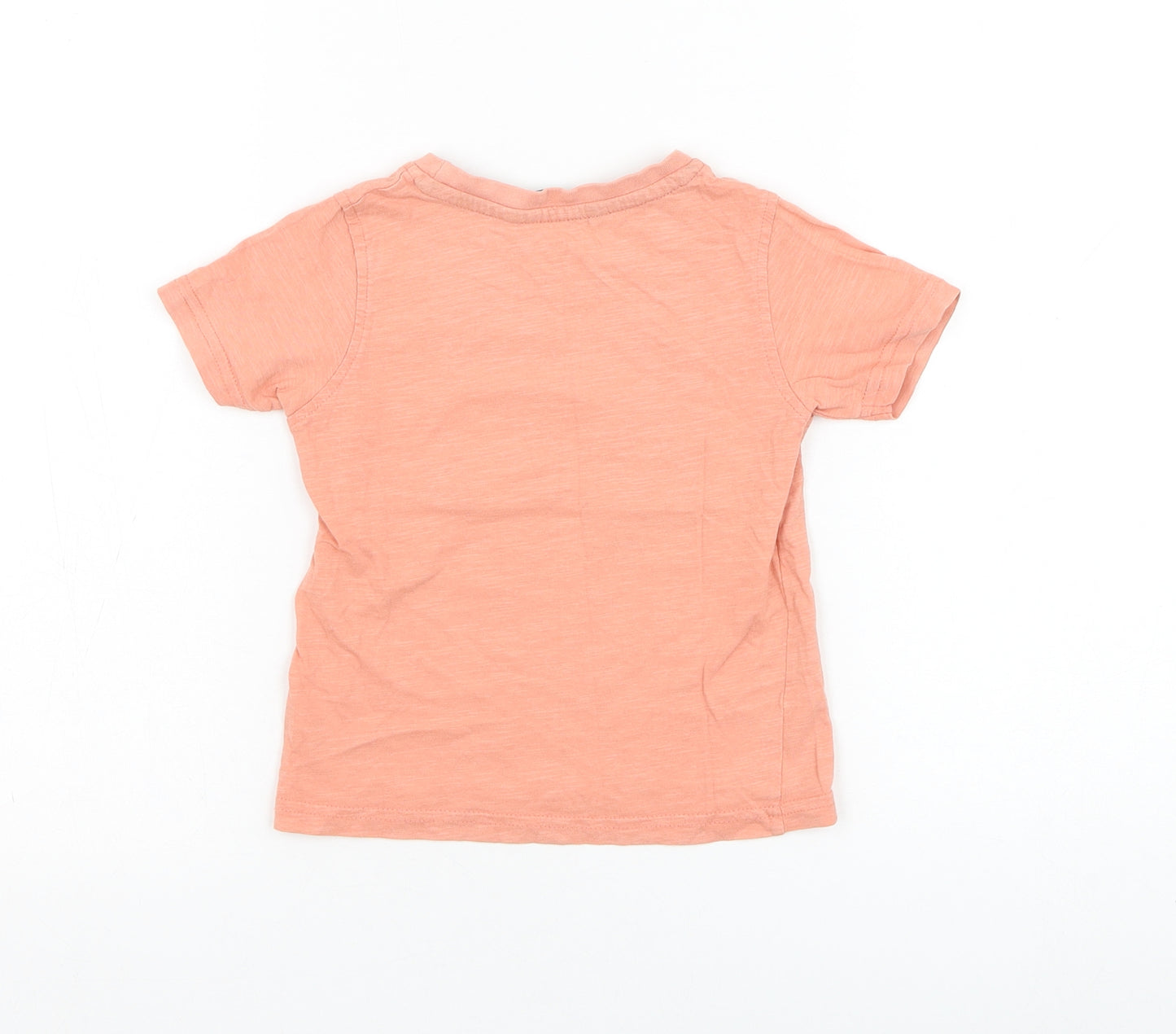 George Boys Pink  Cotton Basic T-Shirt Size 2-3 Years Round Neck Pullover - Dinosaur