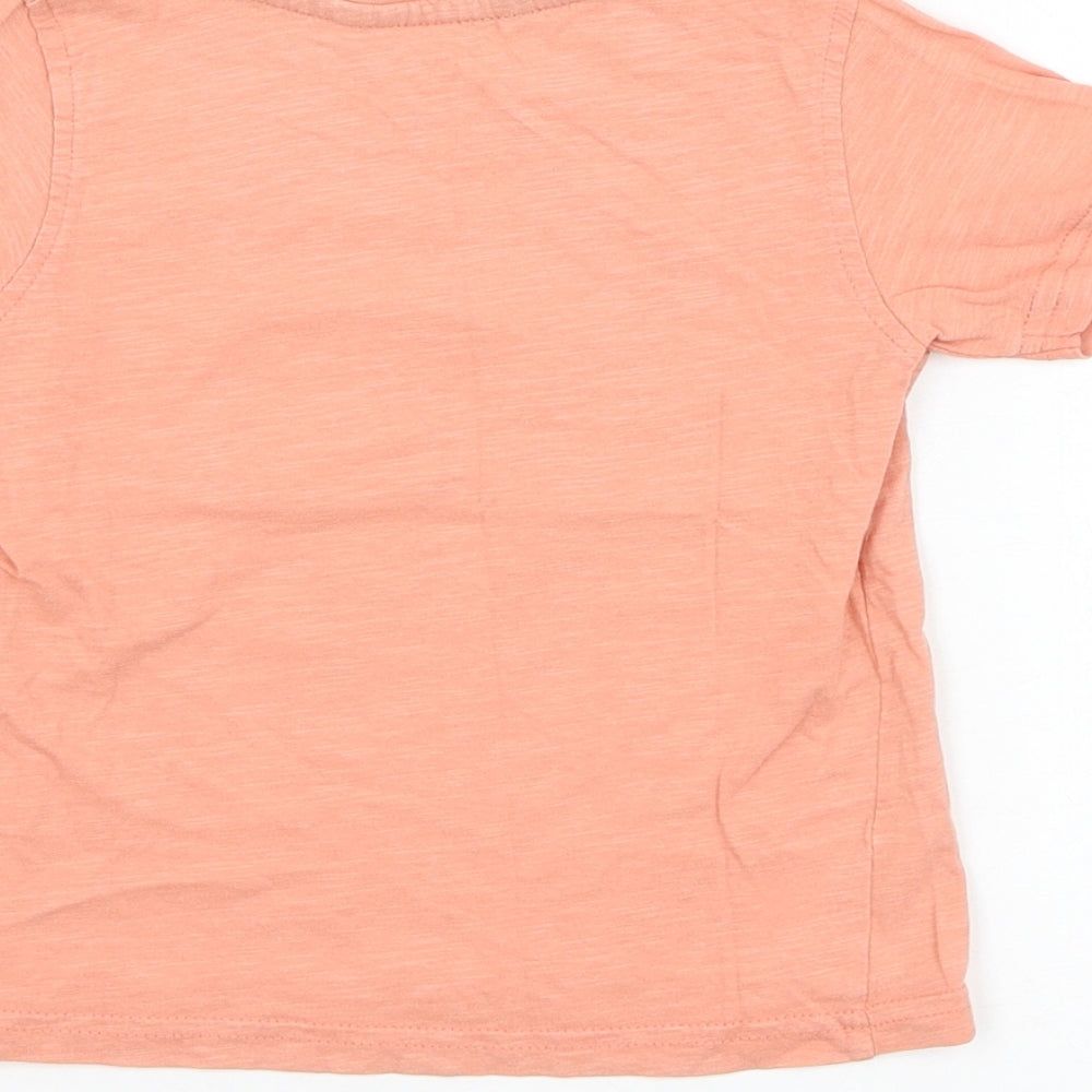 George Boys Pink  Cotton Basic T-Shirt Size 2-3 Years Round Neck Pullover - Dinosaur
