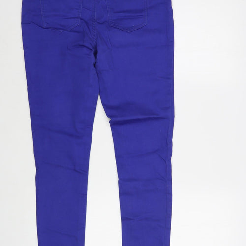 Blanco Womens Blue  Cotton Skinny Jeans Size 10 L30 in Regular Button