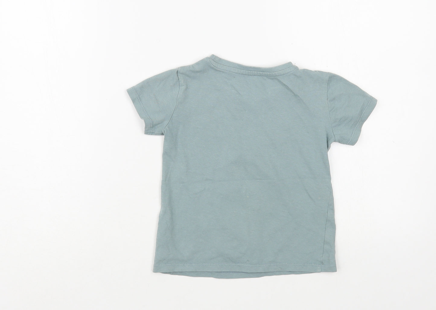 Dunnes Stores Girls Green  Cotton Basic T-Shirt Size 2-3 Years Crew Neck Pullover - Giraffe