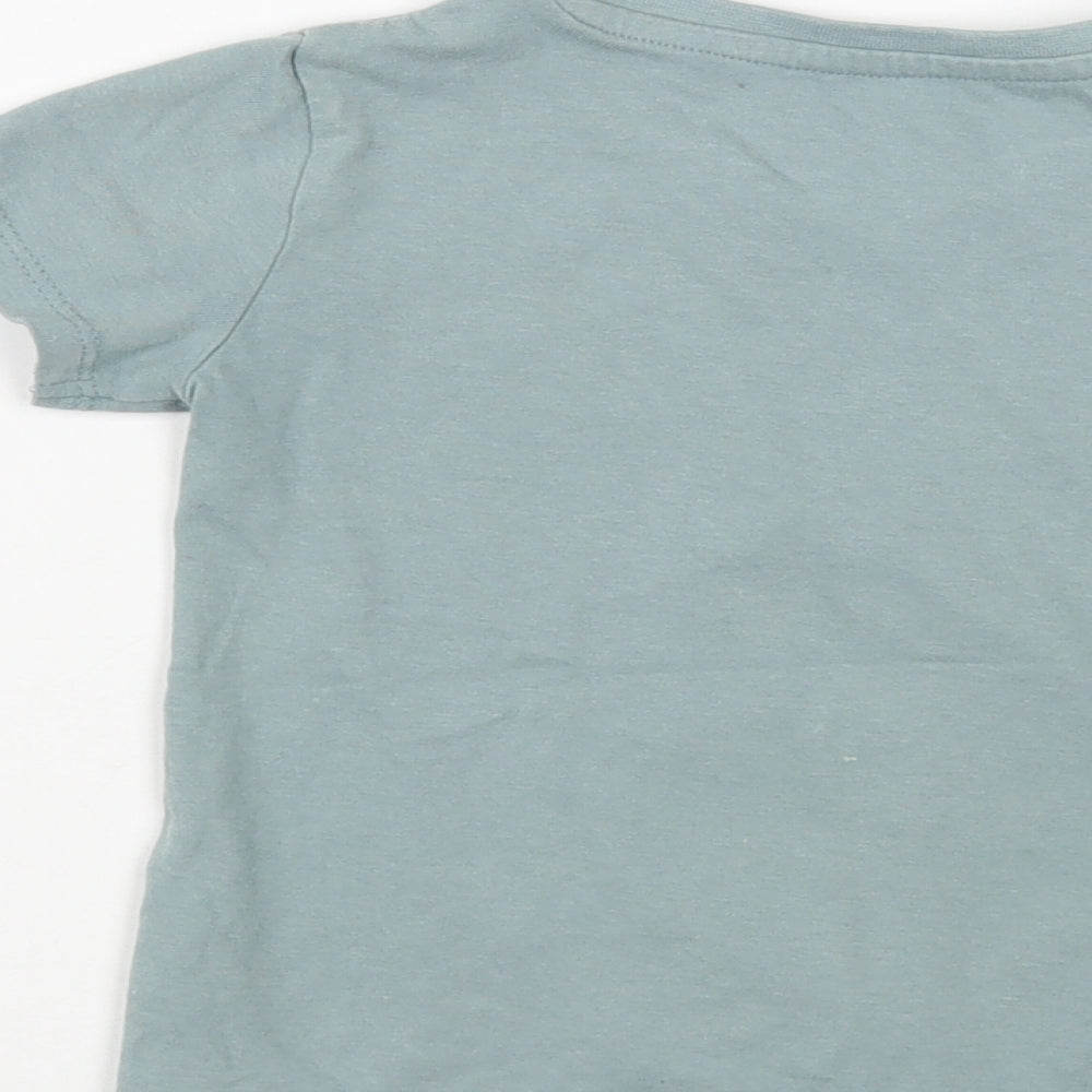 Dunnes Stores Girls Green  Cotton Basic T-Shirt Size 2-3 Years Crew Neck Pullover - Giraffe