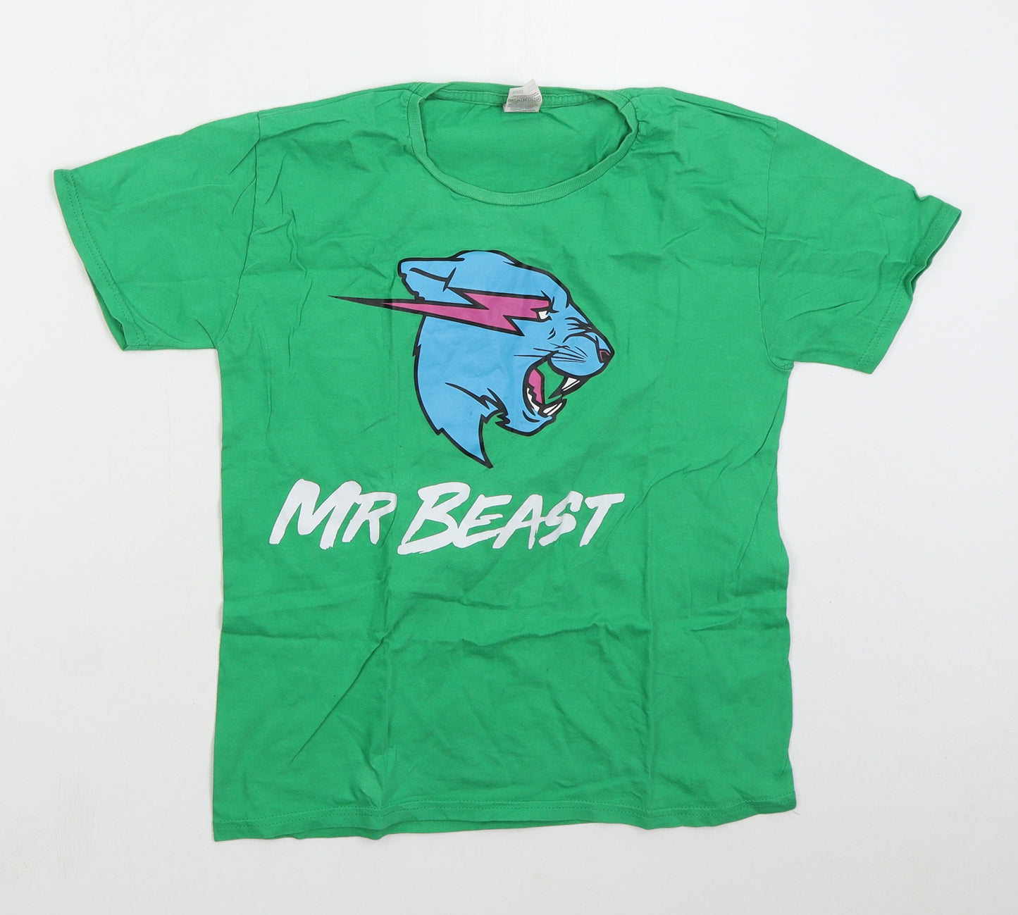 Fruit of the Loom Boys Green  Cotton Basic T-Shirt Size 9-10 Years Crew Neck Pullover - Mr Beast