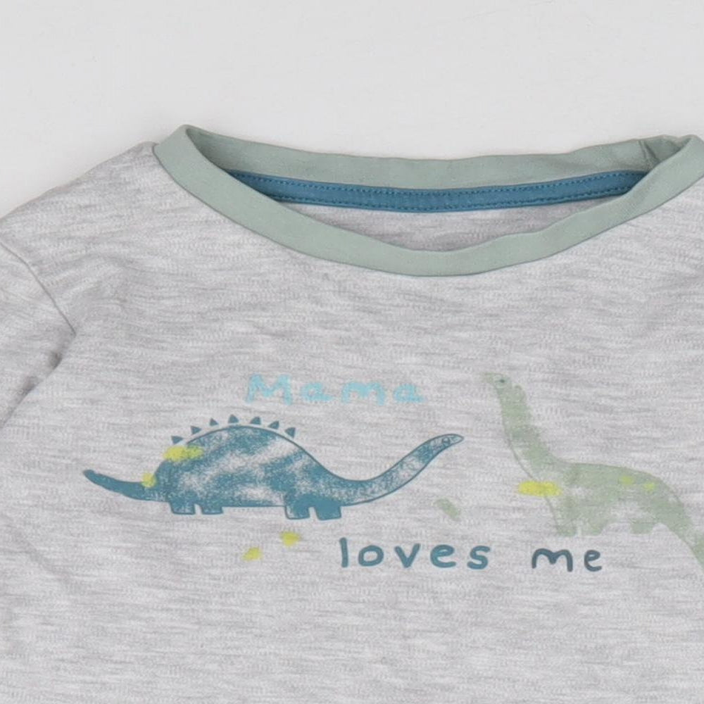 Primark Boys Grey Cotton Jersey T-Shirt Size 18-24 Months Crew Neck Pullover - Dinosaur, Mama
