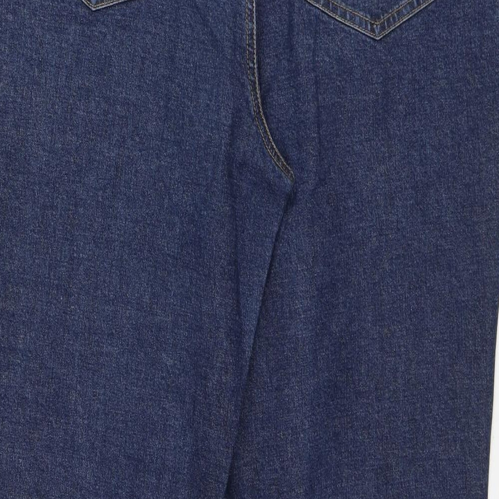 Talbots Womens Blue Cotton Straight Jeans Size 10 L32 in Regular
