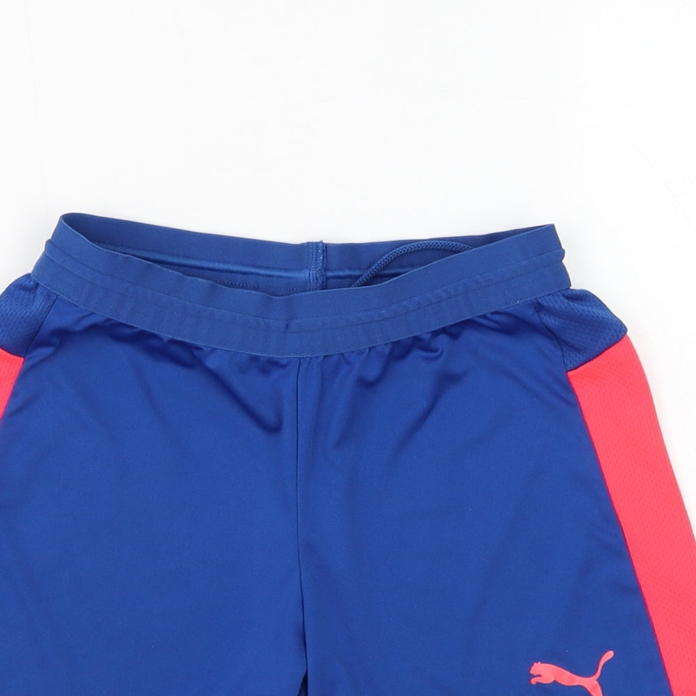 PUMA Boys Blue Polyester Sweat Shorts Size 9-10 Years Regular