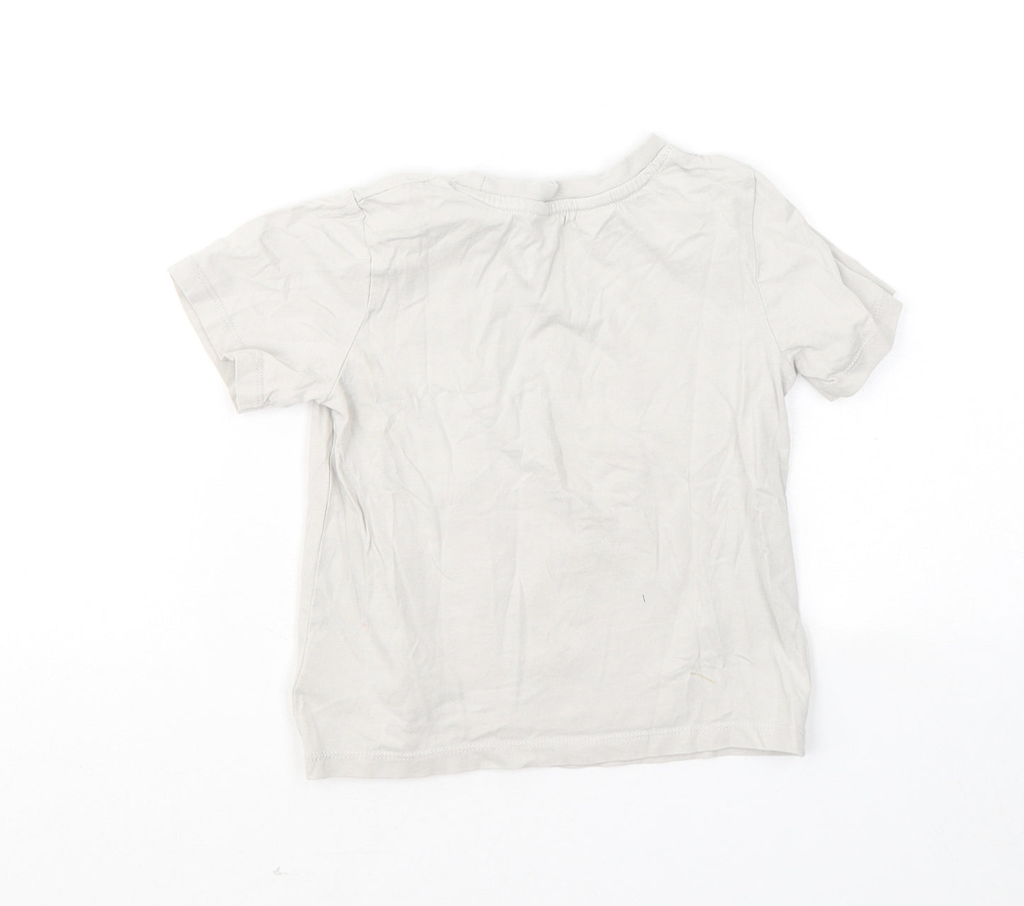 H&M Boys Grey Cotton Basic T-Shirt Size 3-4 Years Round Neck - Dinosaur Grrrr!