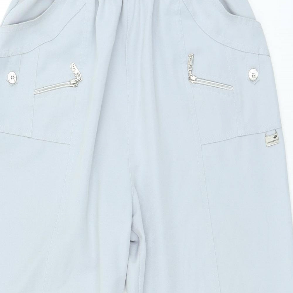 Preworn Womens Grey Polyester Cropped Trousers Size 24 in L23 in Regular