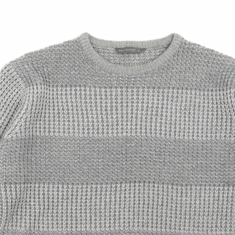 Cedar Wood State Mens Grey Round Neck Striped Acrylic Pullover Jumper Size M