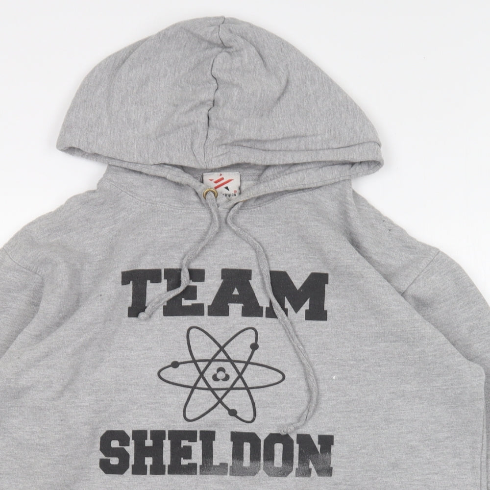 Stars & Stripes Mens Grey Cotton Pullover Hoodie Size M - Team Sheldon Big Bang Theory