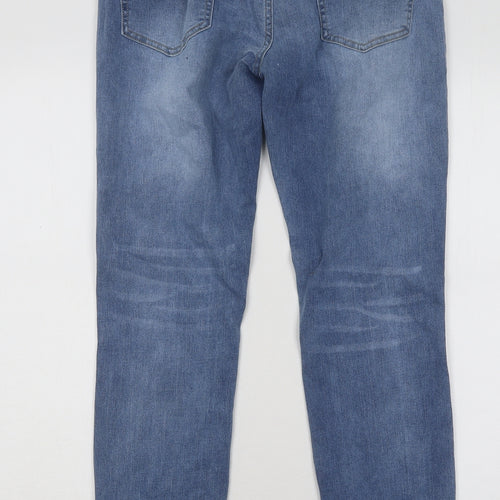 Sheilay Womens Blue Cotton Skinny Jeans Size M L28 in Regular Button