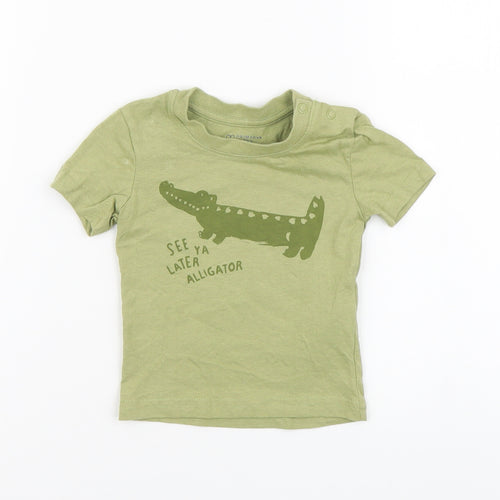 Primark Boys Green Cotton Basic T-Shirt Size 3-6 Months Round Neck Pullover - Alligator