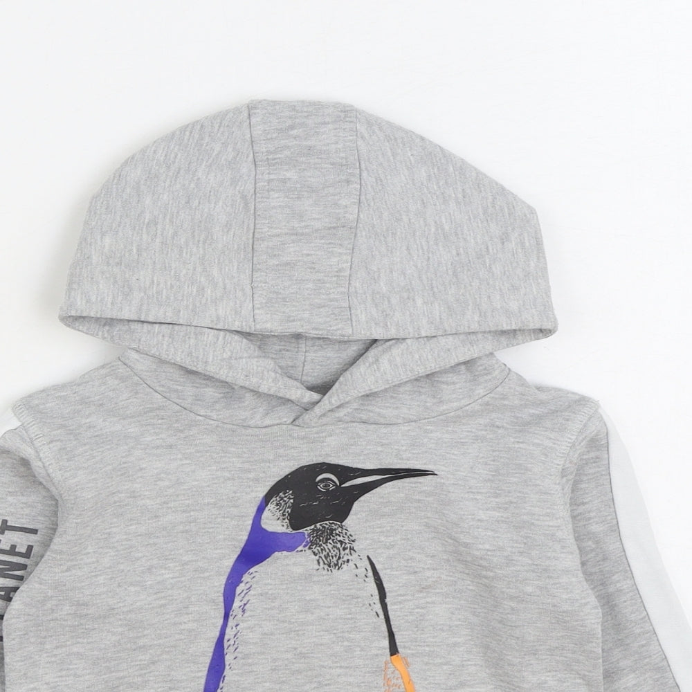 Natural History Museum Boys Grey Cotton Pullover Hoodie Size 4 Years Pullover - Penguin