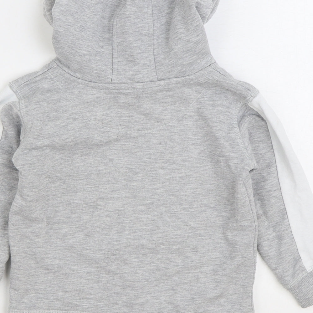 Natural History Museum Boys Grey Cotton Pullover Hoodie Size 4 Years Pullover - Penguin