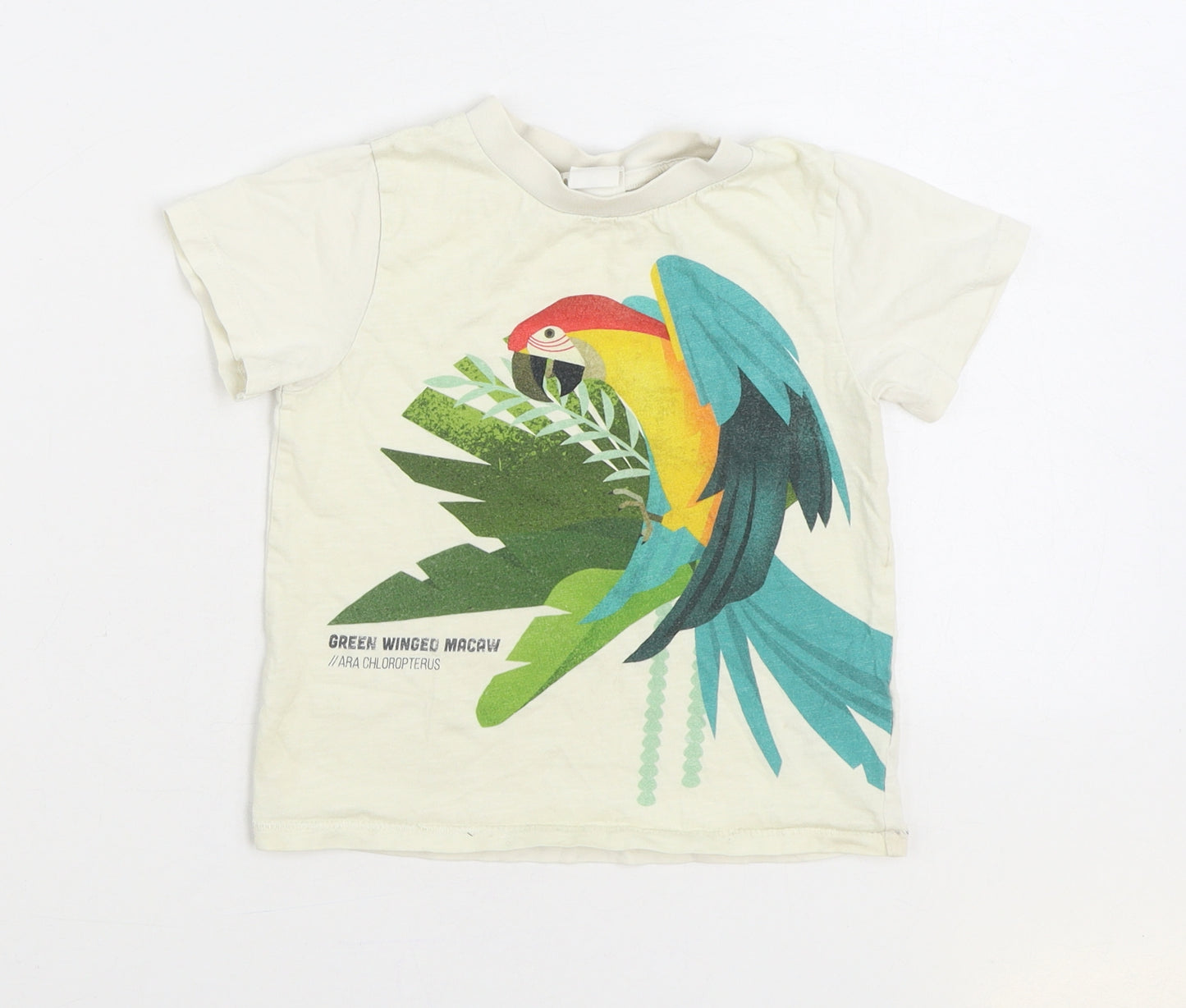 H&M Boys Ivory 100% Cotton Basic T-Shirt Size 3-4 Years Round Neck Pullover - Macaw Parrot