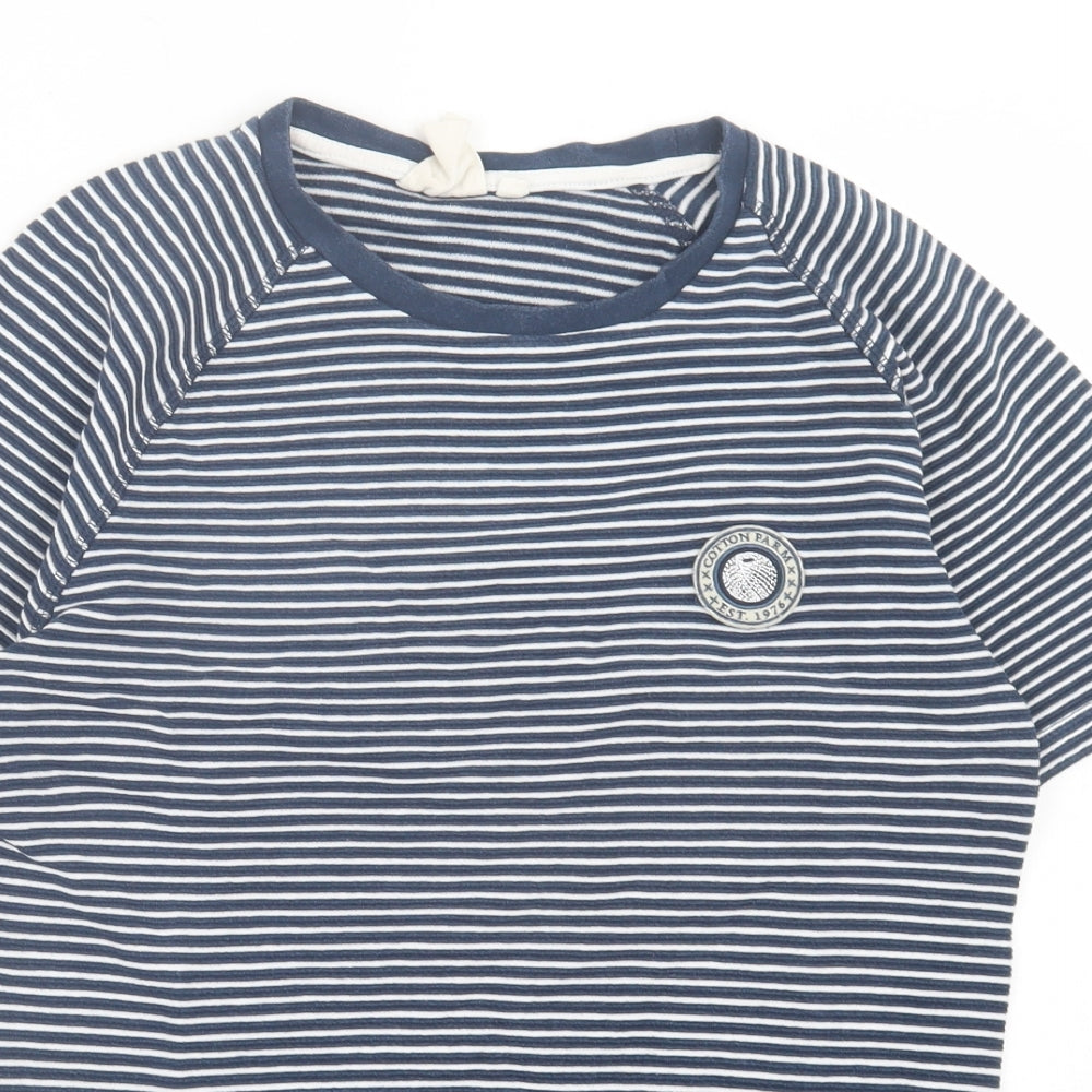Cotton Farm Mens Blue Striped Cotton T-Shirt Size M Crew Neck