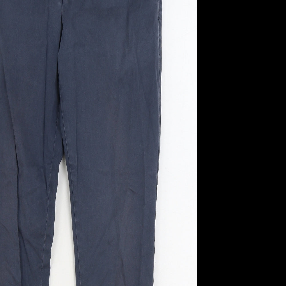 AllSaints Mens Blue Cotton Chino Trousers Size 30 in L29 in Regular Zip