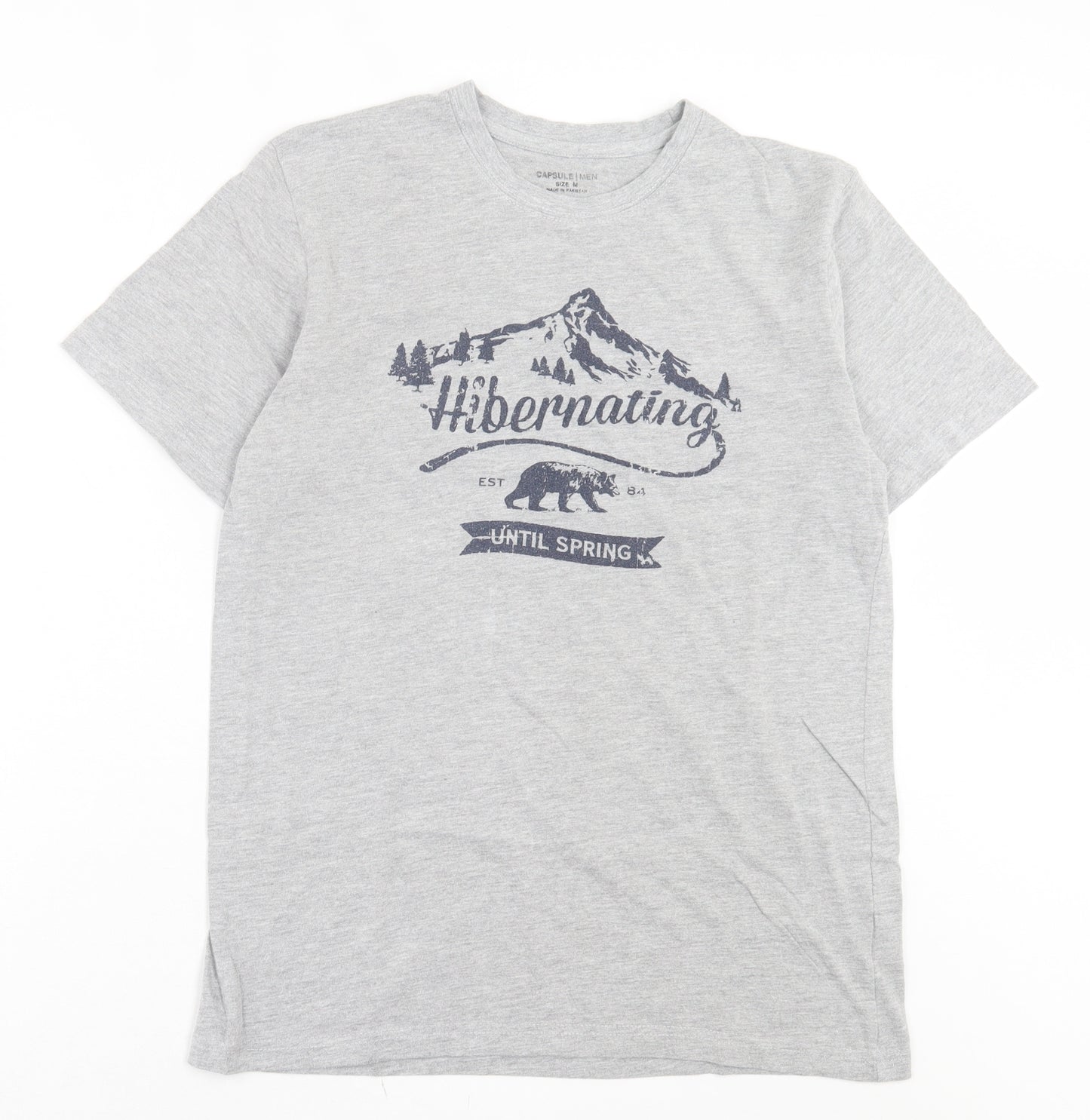 CAPSULE Mens Grey Cotton T-Shirt Size M Crew Neck - Hibernating Until Spring