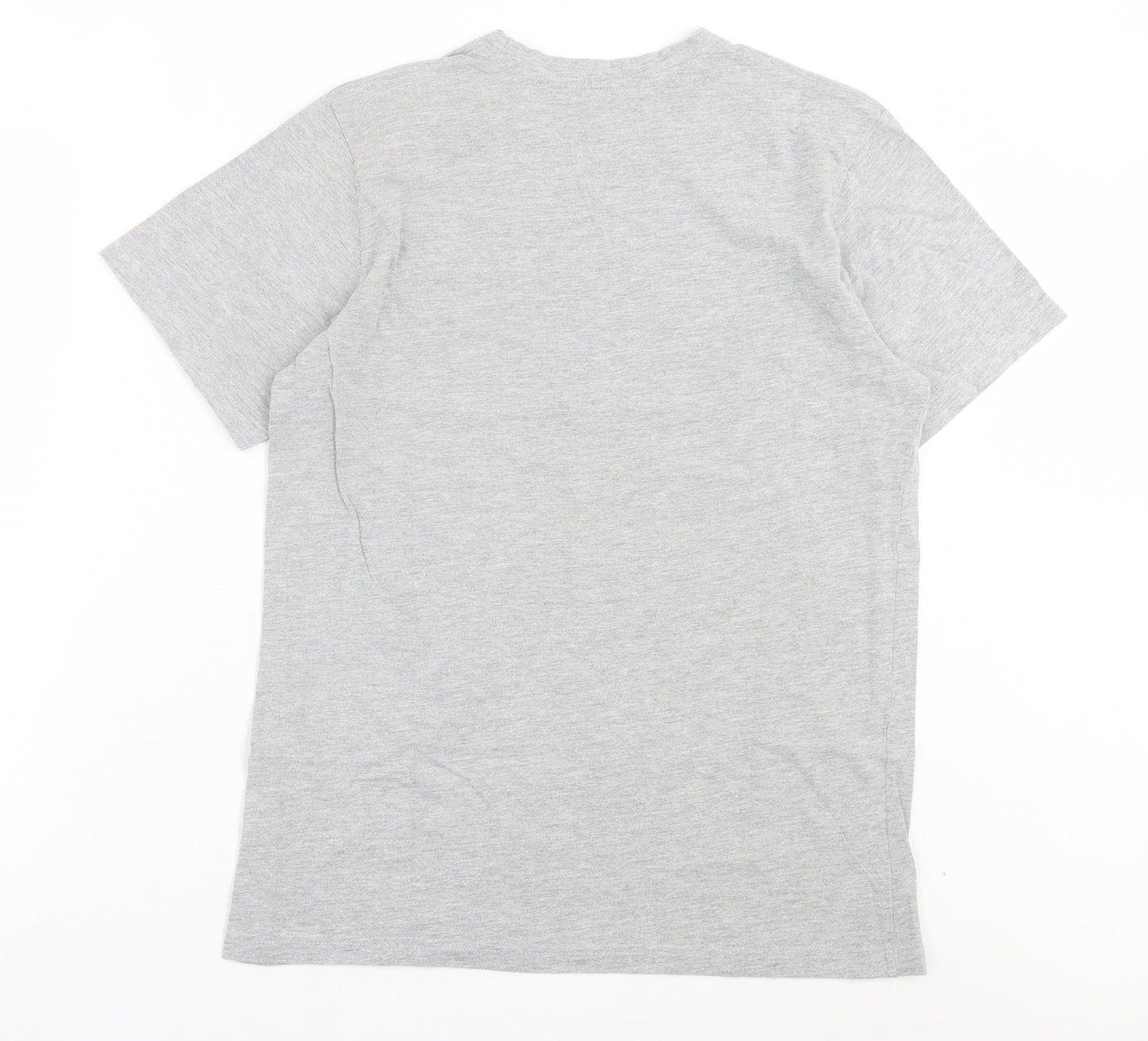 CAPSULE Mens Grey Cotton T-Shirt Size M Crew Neck - Hibernating Until Spring