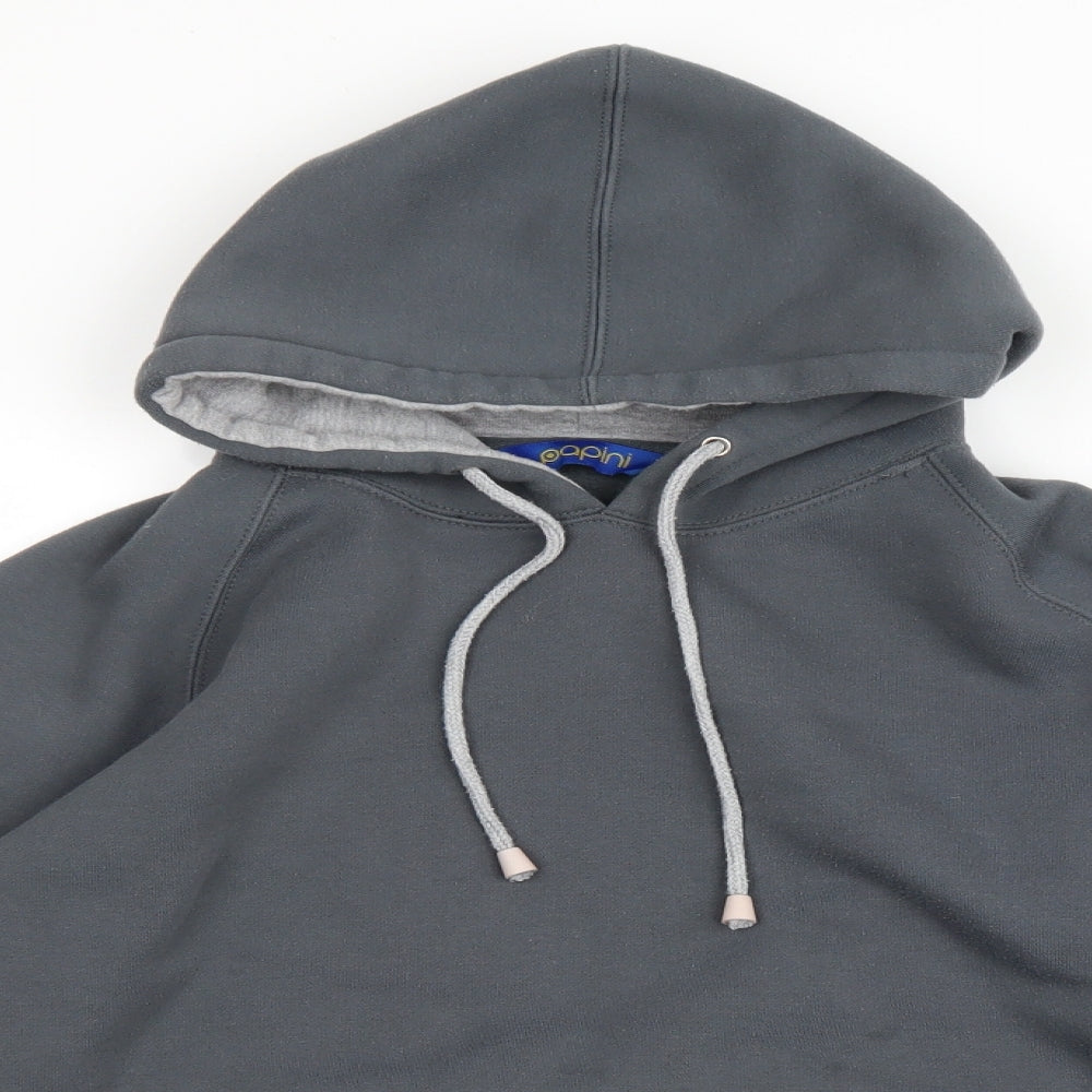 Papini Mens Grey Polyester Pullover Hoodie Size M