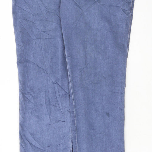 /Denim Womens Blue Cotton Skinny Jeans Size 10 L29 in Regular Button